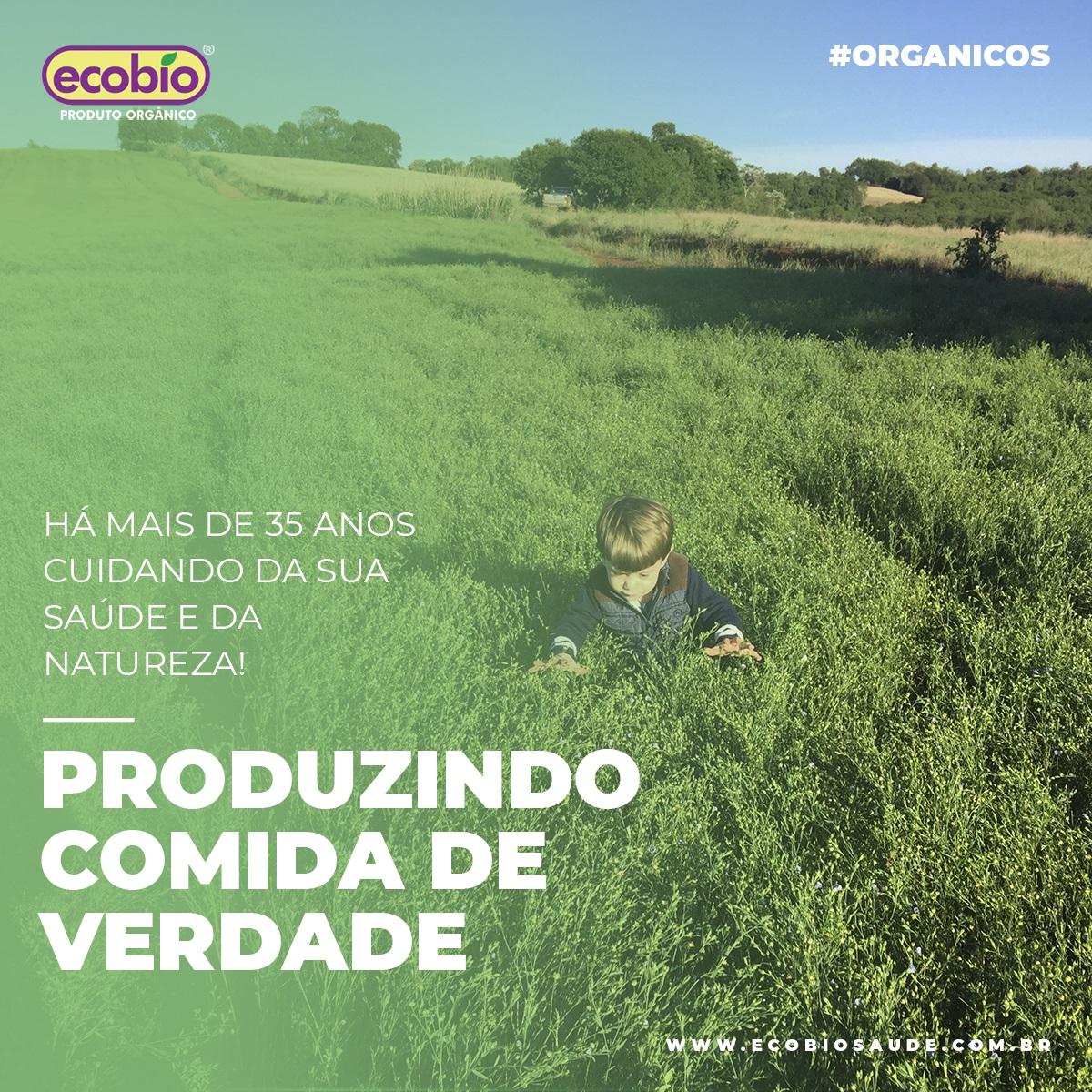 Produzindo comida de verdade